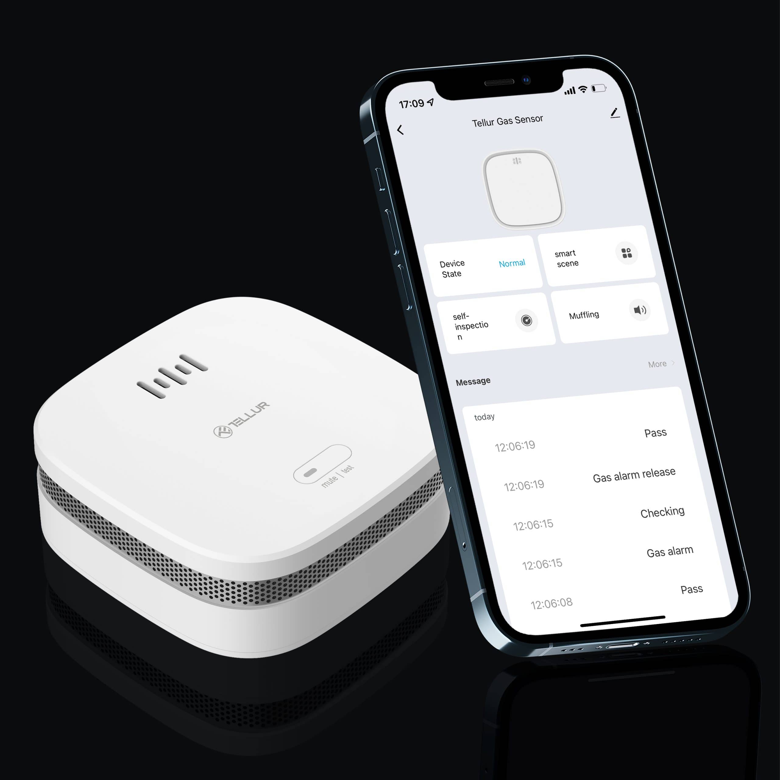 Füstérzékelő Tellur, Wi-Fi, 2.4 Ghz, Jelzőfény, Riasztás, Értesítés — imaginea 6