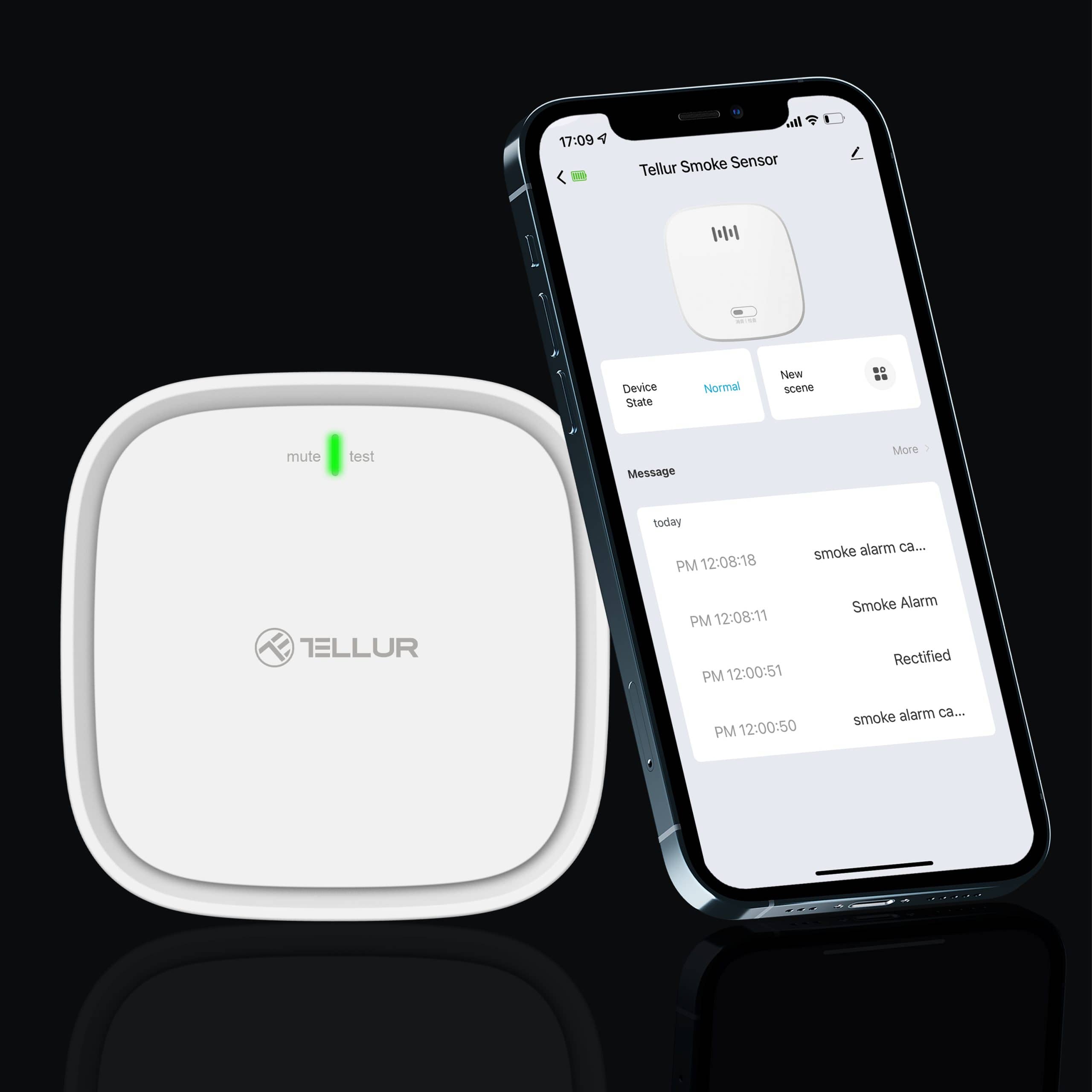 Gázérzékelő TELLUR, Wi-Fi, 2,4 GHz, Riasztó, Értesítések TLL331291 — imaginea 5