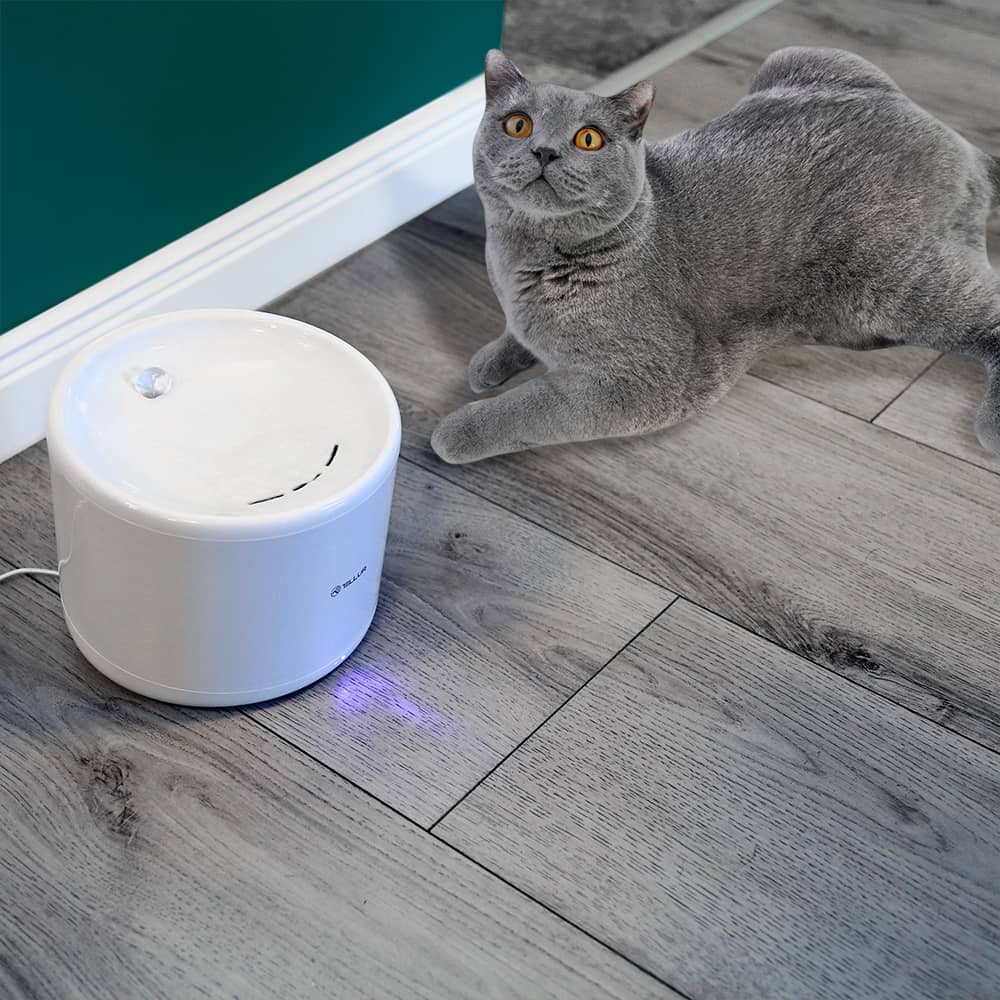 Okos állatvíz adagoló Tellur TLL331471, Wi-Fi, 2L-es kapacitás — imaginea 5