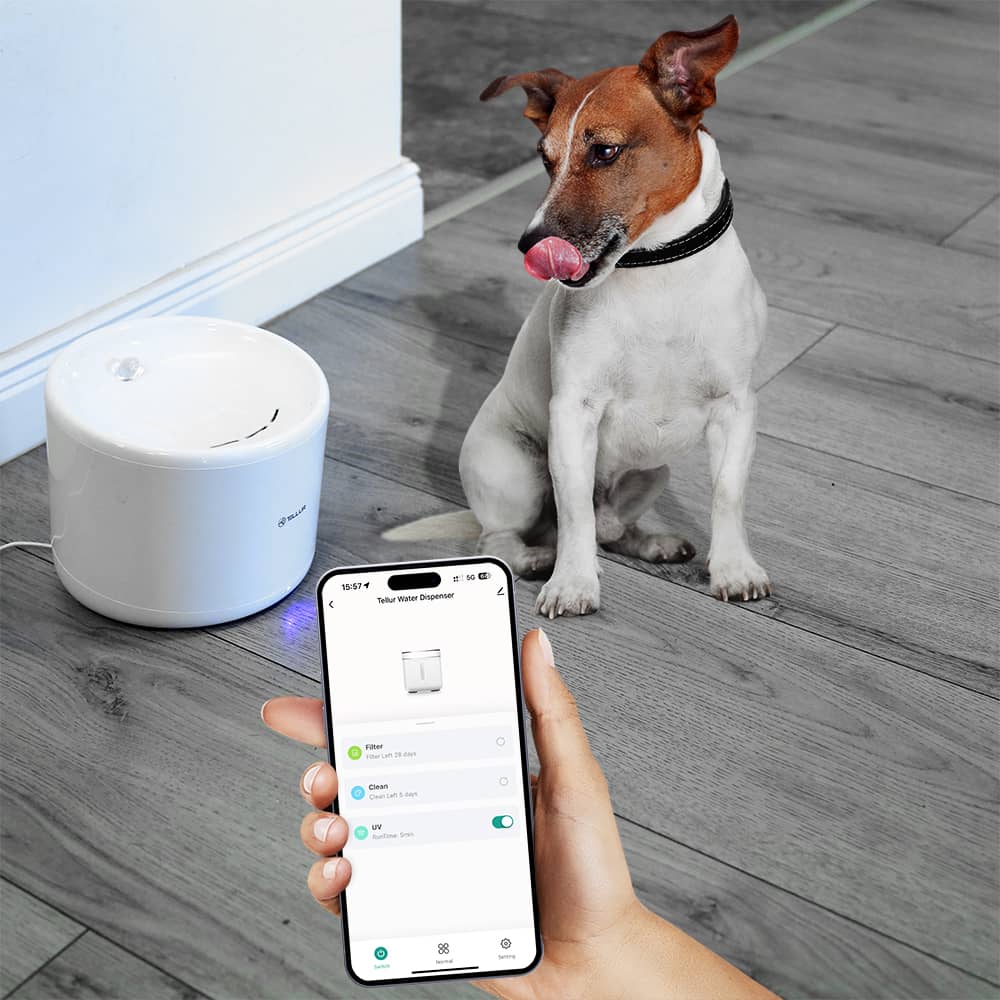 Okos állatvíz adagoló Tellur TLL331471, Wi-Fi, 2L-es kapacitás — imaginea 6